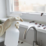 découvrez des méthodes efficaces pour éliminer les insectes gendarmes de votre maison et protéger votre intérieur durablement.